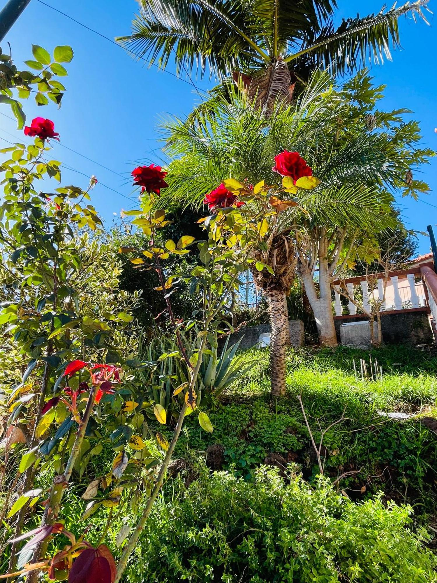 Pensión Cozy House