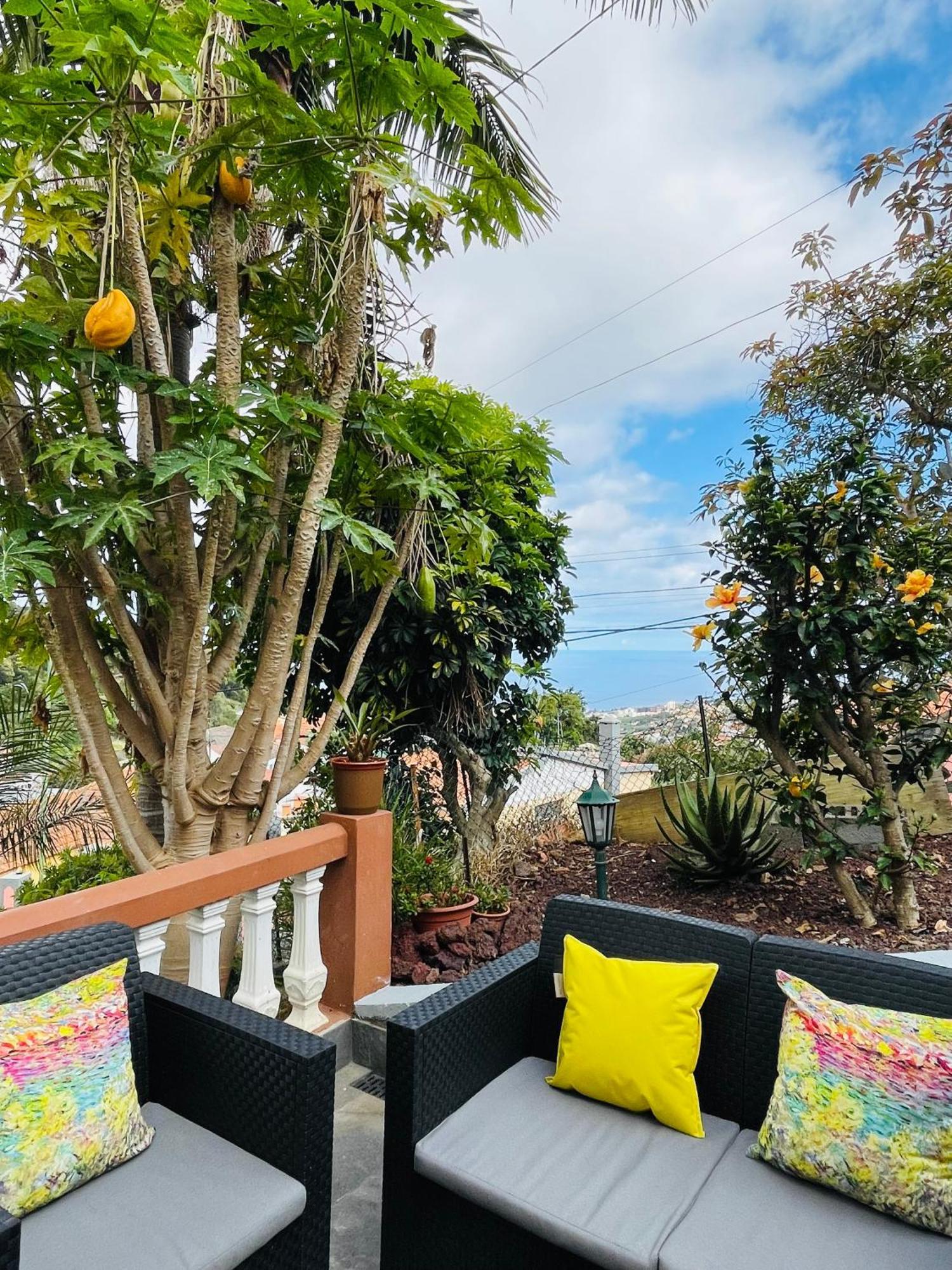 Gasthuis Cozy House Funchal (Madeira)